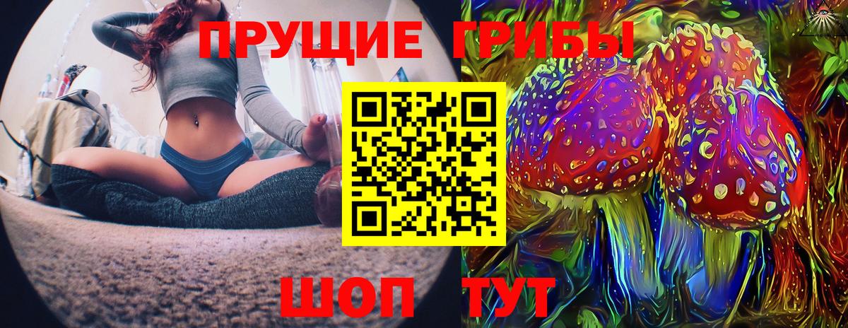 продажа наркотиков  Псилоцибиновые грибы мицелий  Галлюциногенные грибы MAGIC MUSHROOMS  Вход с VPN  Назрань 