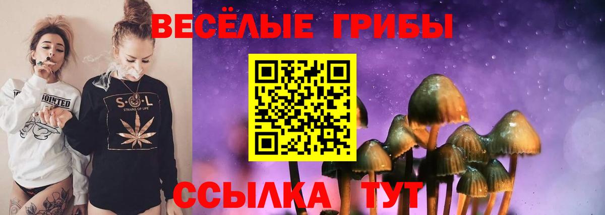 Галлюциногенные грибы мухоморы Назрань
